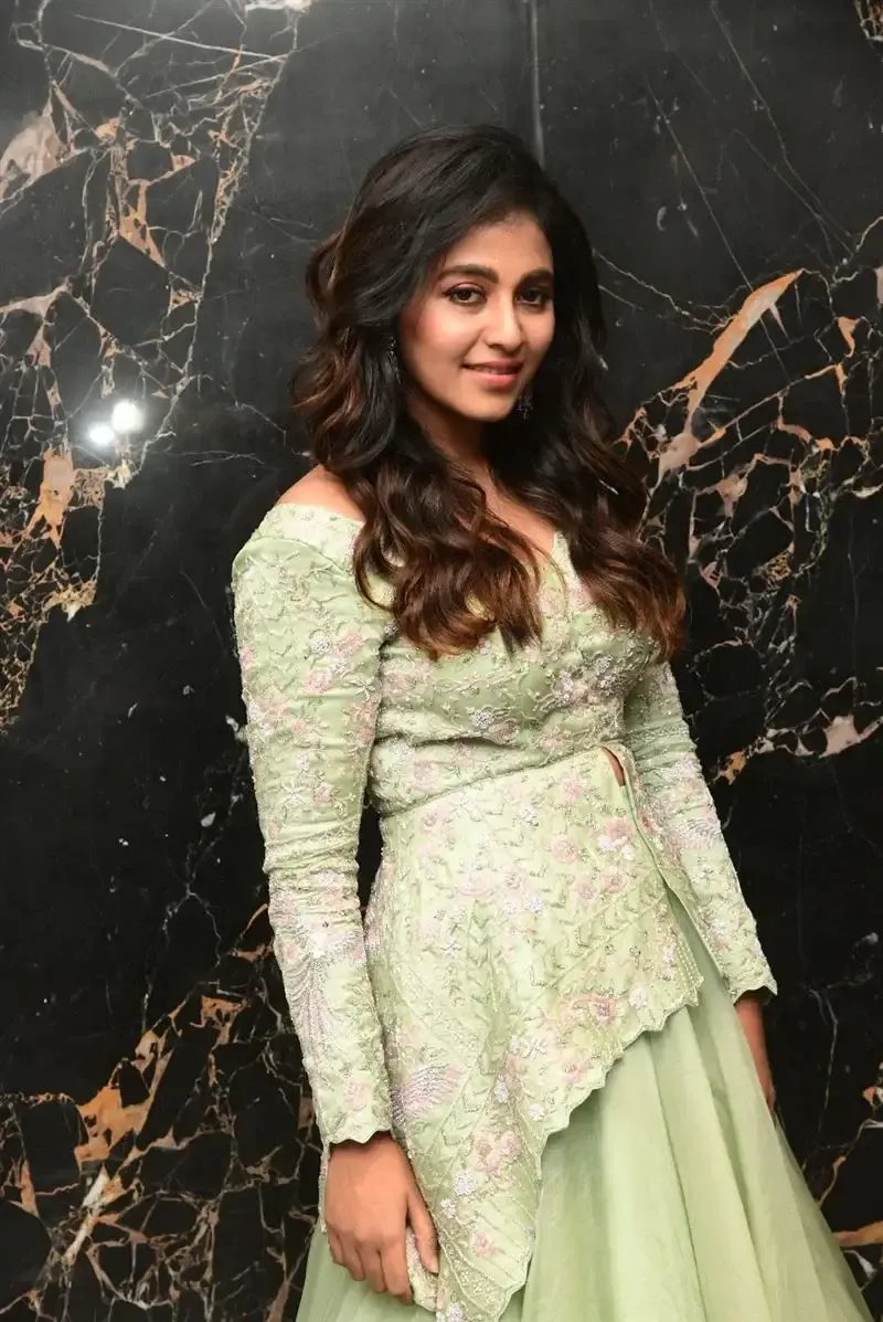 South Indian Actress Anjali Stills in Traditional Light Green Dress